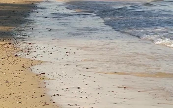Free Stock Video Shallow Waves On A Dirty Beach