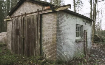 Free Stock Video Shed In A Temperate Forest