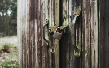 Free Stock Video Shed In The Forest Closed With A Padlock