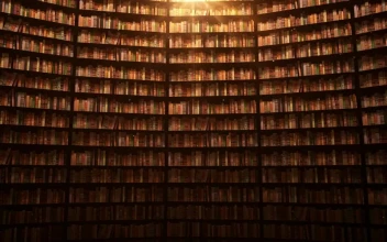 Free Stock Video Shelves Full Of Books D Animation