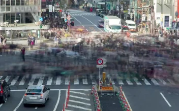 Free Stock Video Shibuya District Crosswalk Time Lapse