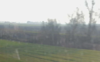 Free Stock Video Shopping Online During A Train Journey