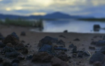 Free Stock Video Shore Of A Calm Lake With Sand Grass And Rocks