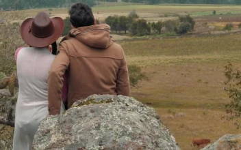 Free Stock Video Shot From Behind A Couple Watching The Landscape