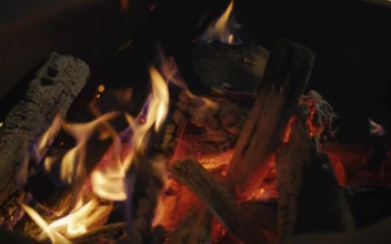 Free Stock Video Shot Near A Lit Campfire
