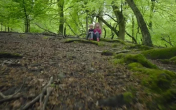 Free Stock Video Siblings Enjoying A Day Out
