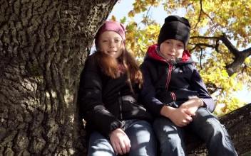 Free Stock Video Siblings Sitting On A Branch