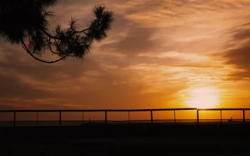 Free Stock Video Silhouette Of A Couple Kissing On A Sunset