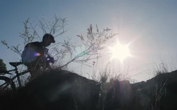 Free Stock Video Silhouette Of A Cyclist In Front Of The Sun In