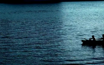 Free Stock Video Silhouette Of A Rowing Boat