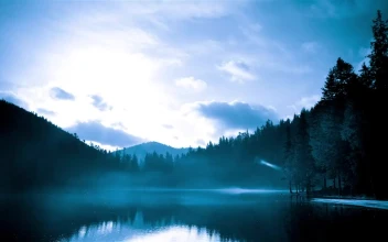 Free Stock Video Silhouette Of Nature On A Lake Time Lapse