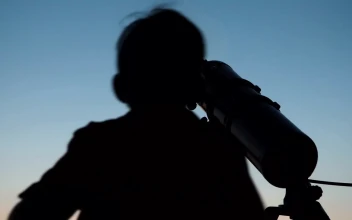 Free Stock Video Silhouettes Of A Man And A Boy With A Telescope