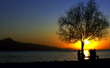 Free Stock Video Silhouettes Of People By The Sea At Sunset