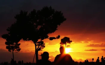Free Stock Video Silhouettes Of People In A Park During A Sunset