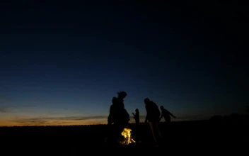 Free Stock Video Silhouettes Of People In The Campfire