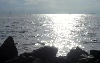 Free Stock Video Silver Ripples Across The Coast