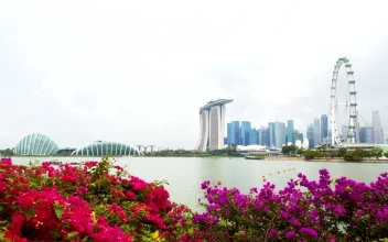 Free Stock Video Singapore Cityscape And Flowers