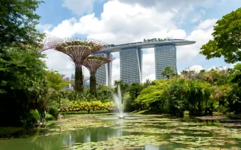 Free Stock Video Singapore Gardens And Fountain In The Lake