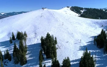 Free Video Stock Ski Area On A Snowy Mountain With Few Trees