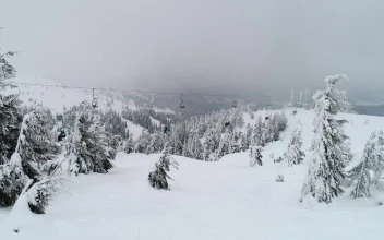 Free Video Stock Ski Station Transporting Skiers
