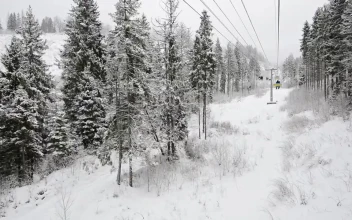 Free Video Stock Ski Station View Of A White Winter Forest