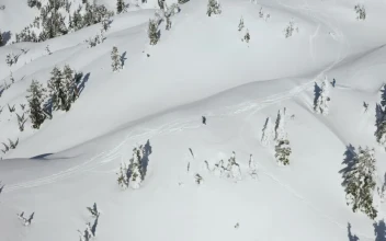 Free Video Stock Skier Going Down A Snowy Slope