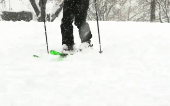 Free Video Stock Skiing At A Park During Heavy Snowfall