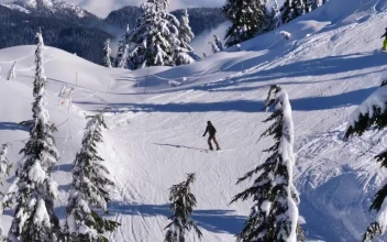 Free Video Stock Skiing On A Snowy Slope
