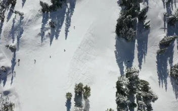 Free Video Stock Skiing On The Slope Of A Canadian Mountain