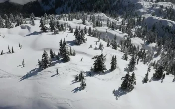 Free Video Stock Skiing Through The Snowy Relief Of Canada
