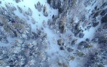 Free Video Stock Skyline And Aurora In Winter