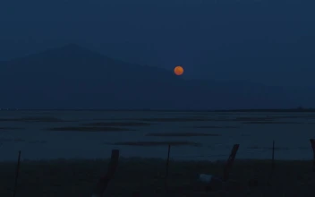 Free Video Stock Skyline Of A Desert With The Moon At Night
