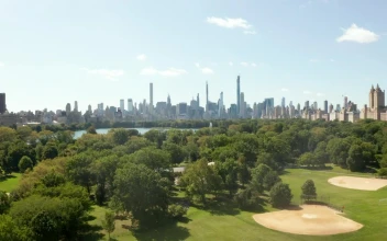 Free Video Stock Skyline View Of New York City From Central Park