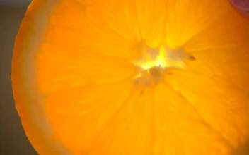 Free Video Stock Slice Of Wet Orange In A Very Close Shot