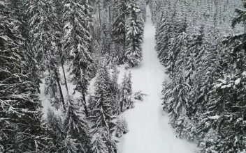 Free Video Stock Slow Aerial Tour Of A Winter Path In A Forest