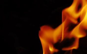 Free Video Stock Slow Motion Flame When Burning Wood
