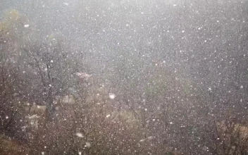 Free Video Stock Slow Snow Falling In The Hills