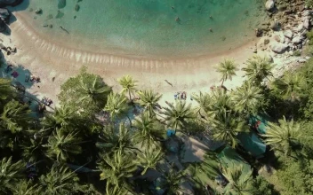 Free Video Stock Small Beach With Palm Trees And Turquoise Water
