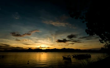Free Video Stock Small Boats Anchored At The Edge Of A Lake