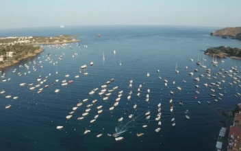 Free Video Stock Small Boats Anchored In A Harbor