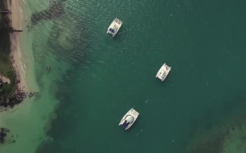 Free Video Stock Small Boats Around Mauritius Island