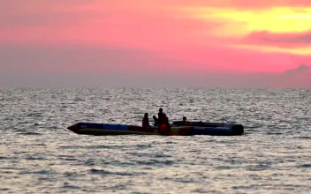 Free Video Stock Small Boats Out In The Evening