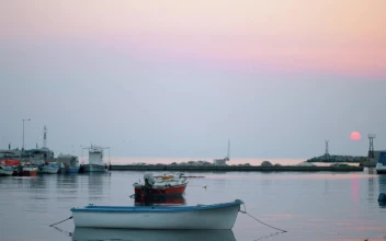 Free Video Stock Small Boats Tied In A Harbor