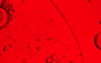 Free Video Stock Small Bubbles In A Liquid On A Red Background