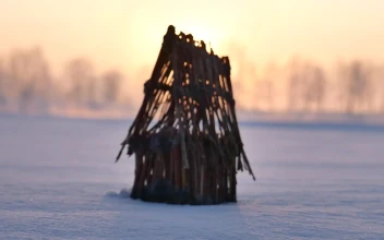 Free Video Stock Small Cabin In The Snow