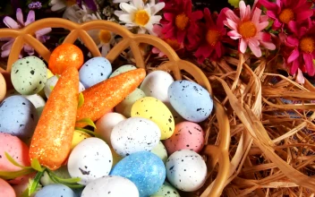 Free Video Stock Small Colored Easter Eggs In A Basket