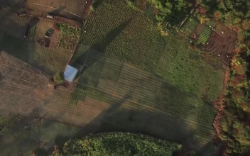 Free Video Stock Small Farm On The Coast