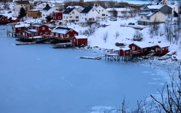Free Video Stock Small Fish In Town And A Frozen Sea