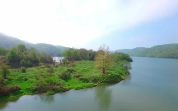 Free Video Stock Small Island In The Middle Of A Lake