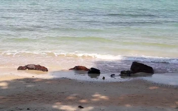 Free Video Stock Small Rocks Along The Beach